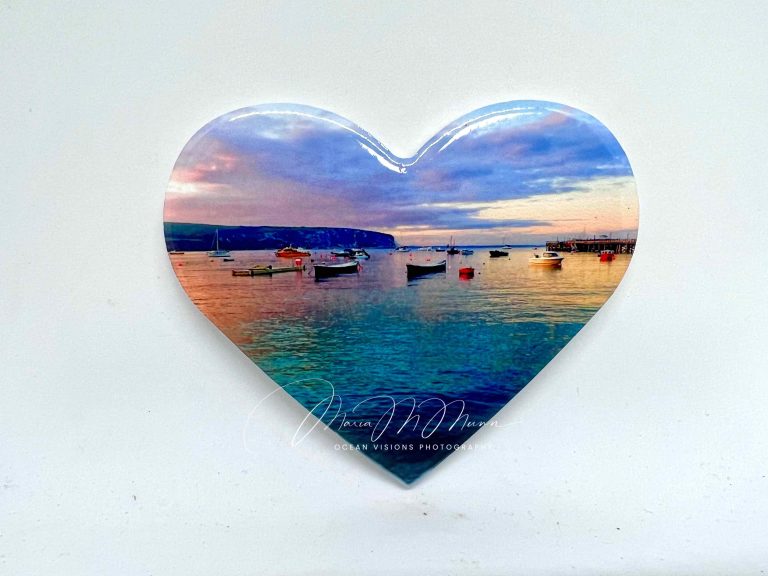 46716088 9F94 4351 94BD 02A07C885D02 768x576